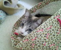 20100506163355