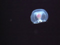20100624162558