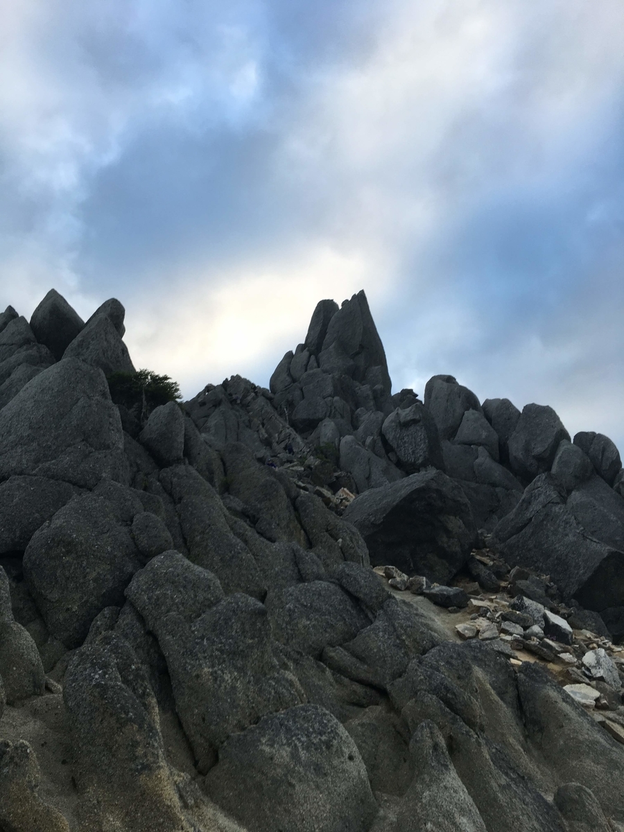 f:id:flamebutasu:20190917212307j:plain