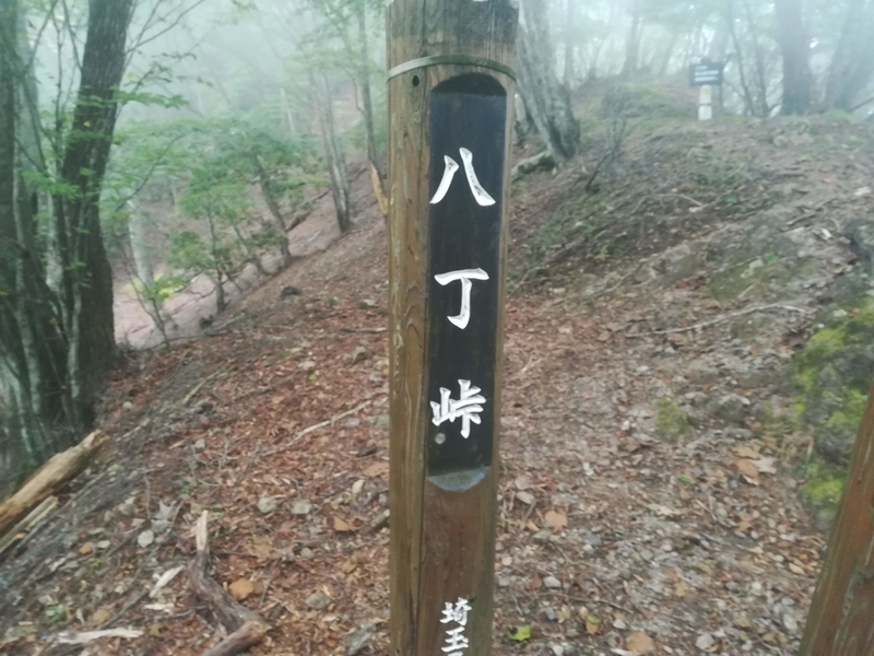 f:id:flamebutasu:20191006175356j:plain
