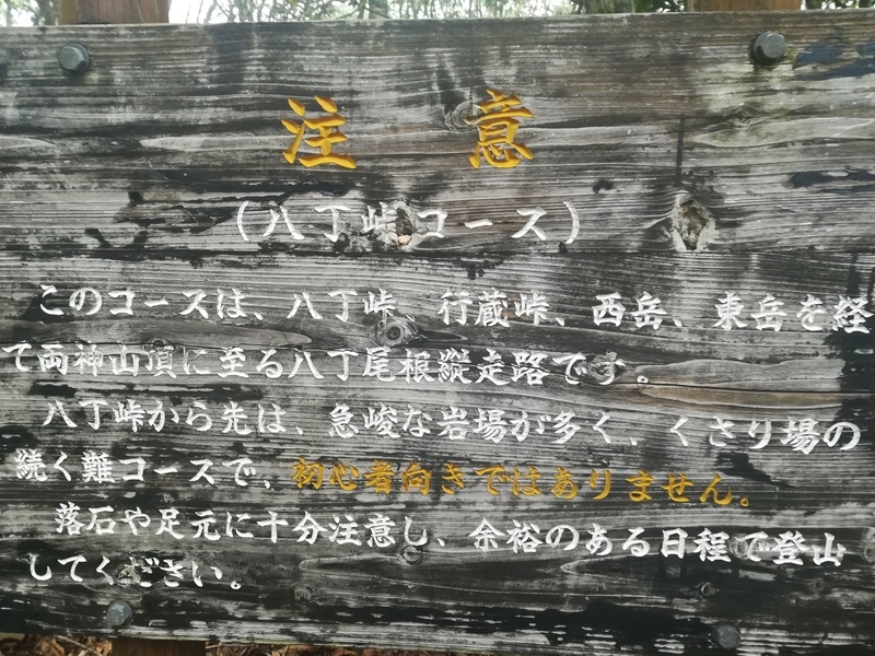 f:id:flamebutasu:20191006175413j:plain