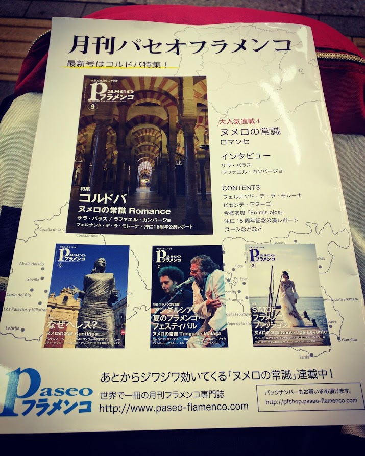 f:id:flamenco_daisuki:20170821005543j:plain f:id:flamenco_daisuki:20170821005543j:plain