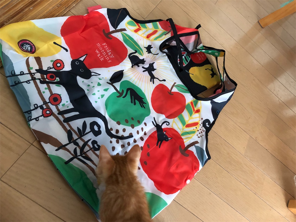f:id:flarehonobono:20190810094417j:image f:id:flarehonobono:20190810094417j:image