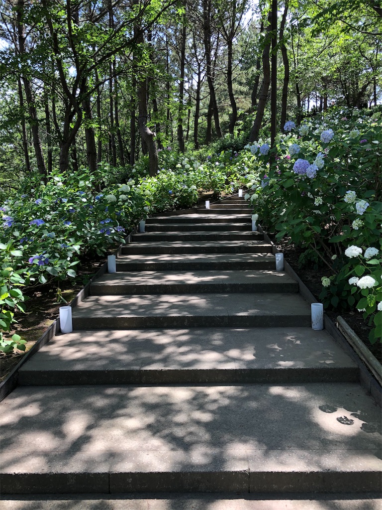 f:id:flarehonobono:20191005083304j:image