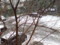 20080123085118