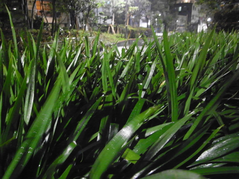 20081005232906