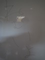 R0015998.JPG