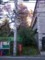 R0016054.JPG