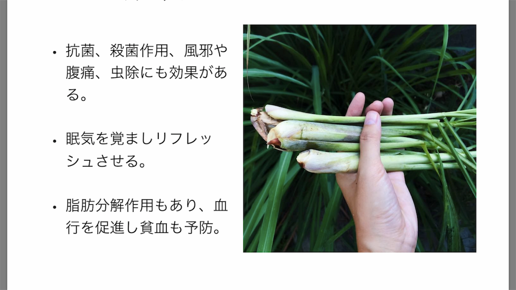 f:id:flat37takashi:20191008184600p:image f:id:flat37takashi:20191008184600p:image