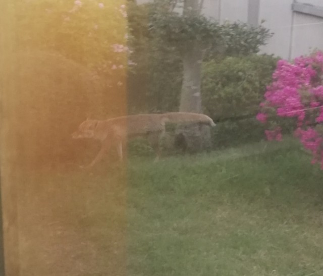 f:id:flatplane:20210418184547j:image