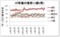 単価の推移（1都3県）