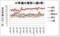 m2単価の推移（1都3県）