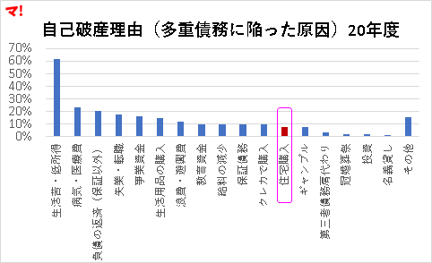 自己破産理由(多重債務に陥った原因)20年度