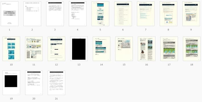 報告書は、A4判21枚