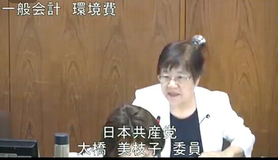 大橋美枝子 議員（共産）