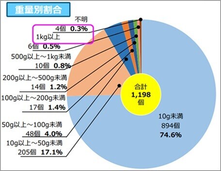 2024年度における部品欠落の重量別割合