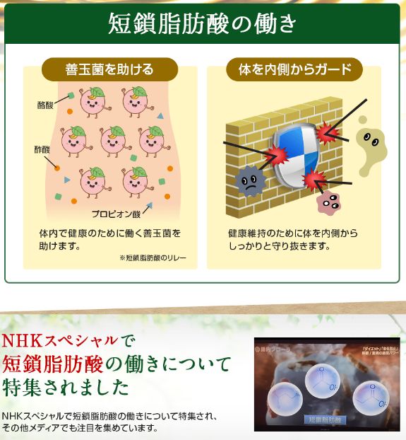 f:id:fleaf10032:20180822182008j:plain