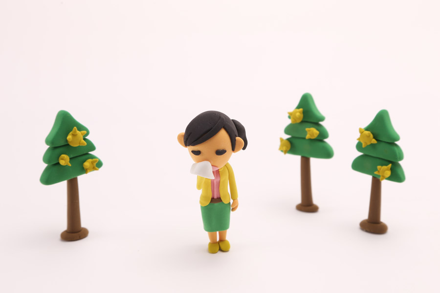 f:id:fleaf10032:20190130213007j:plain