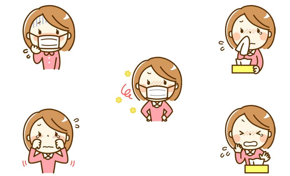 f:id:fleaf10032:20190201224315j:plain