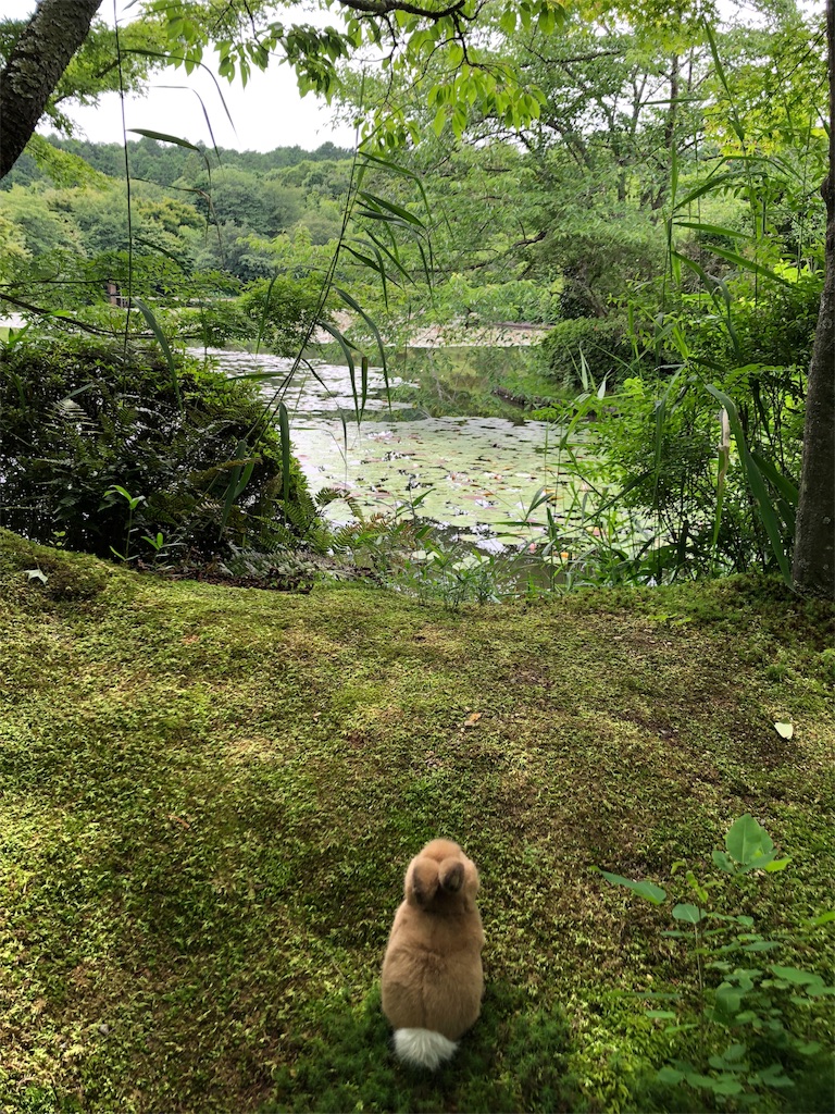 f:id:flemy:20180614203124j:image f:id:flemy:20180614203124j:image