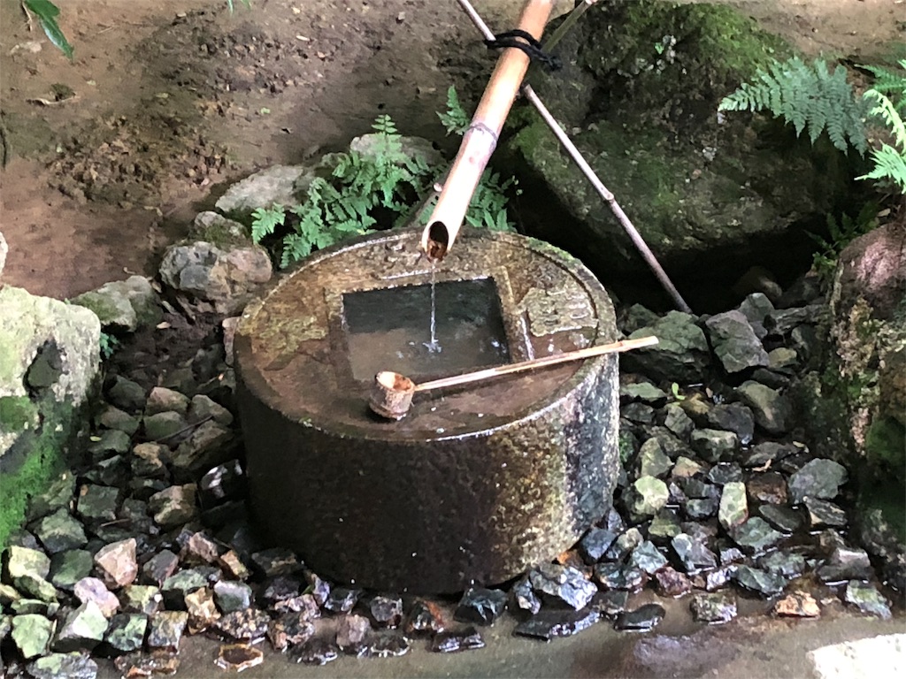 f:id:flemy:20180614203129j:image f:id:flemy:20180614203129j:image