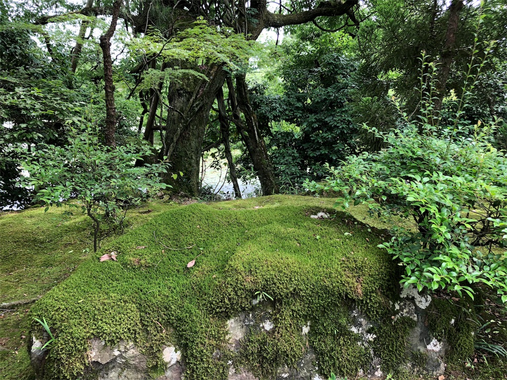 f:id:flemy:20180614203135j:image f:id:flemy:20180614203135j:image