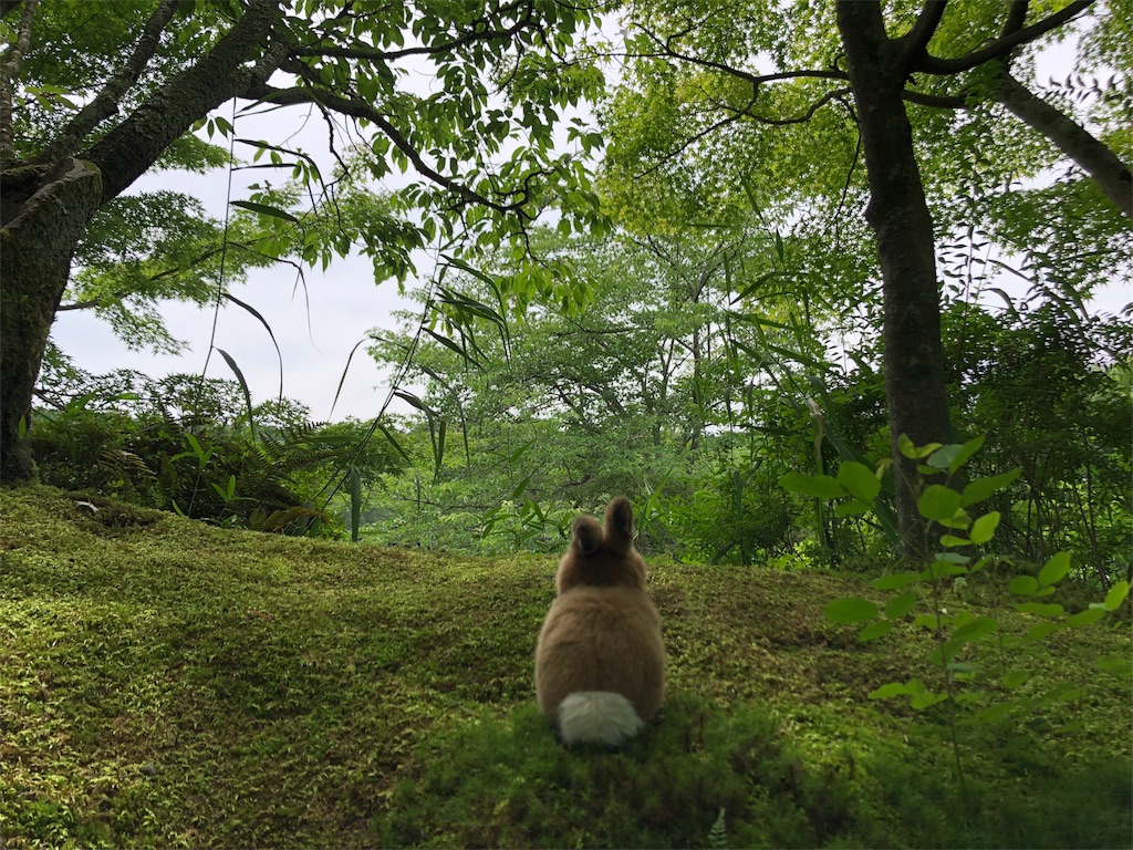 f:id:flemy:20180614203142j:image f:id:flemy:20180614203142j:image