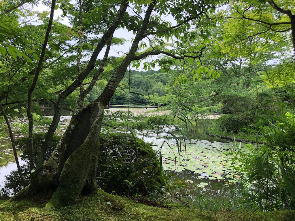 f:id:flemy:20180614203151j:image f:id:flemy:20180614203151j:image