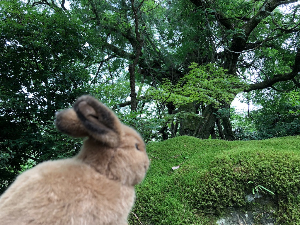 f:id:flemy:20180614203156j:image f:id:flemy:20180614203156j:image