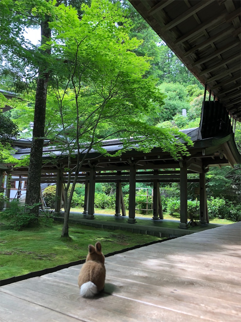 f:id:flemy:20180614203202j:image f:id:flemy:20180614203202j:image