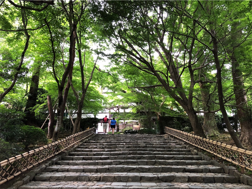 f:id:flemy:20180614203207j:image f:id:flemy:20180614203207j:image