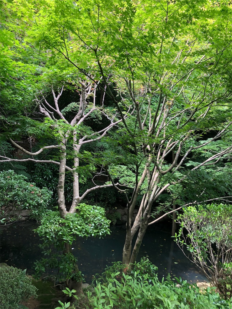 f:id:flemy:20180614203818j:image f:id:flemy:20180614203818j:image