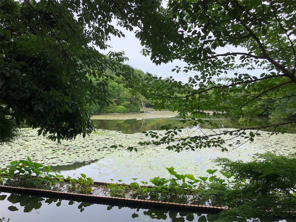 f:id:flemy:20180614213533j:image f:id:flemy:20180614213533j:image