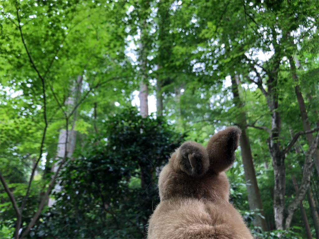 f:id:flemy:20180614213538j:image f:id:flemy:20180614213538j:image