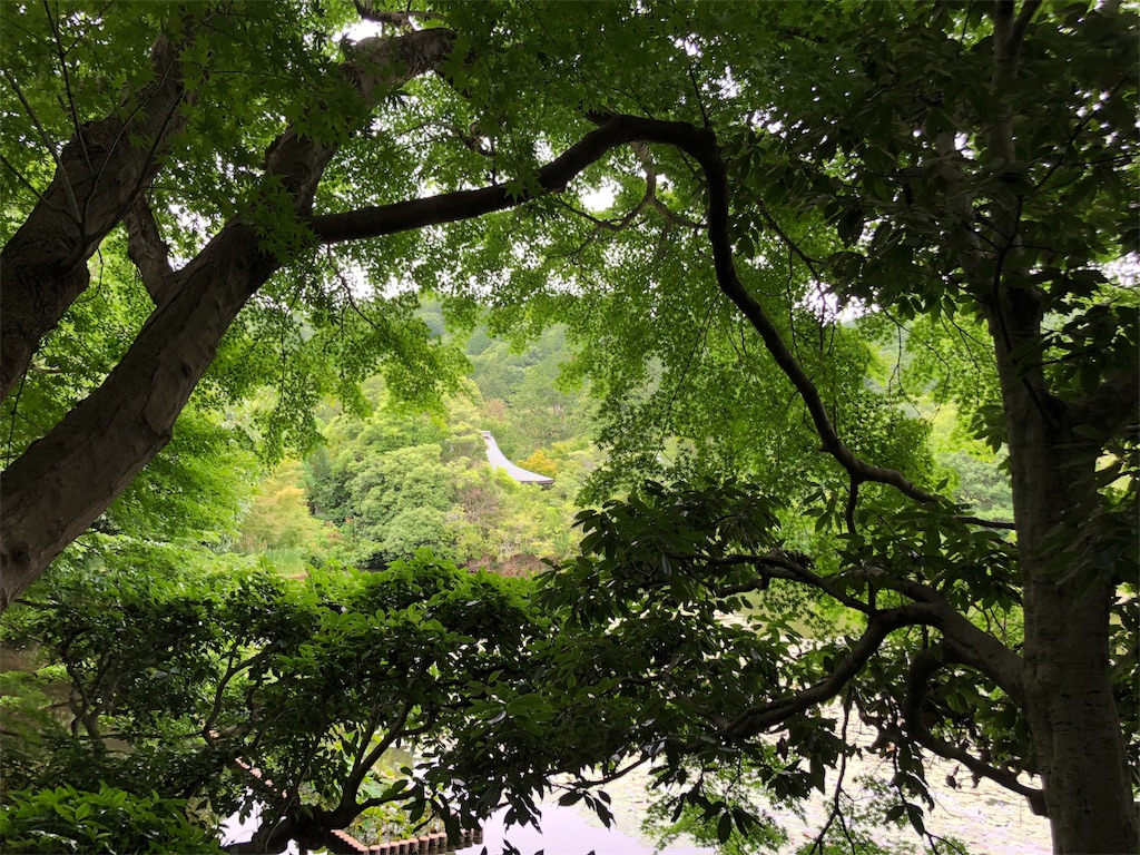 f:id:flemy:20180614213552j:image f:id:flemy:20180614213552j:image