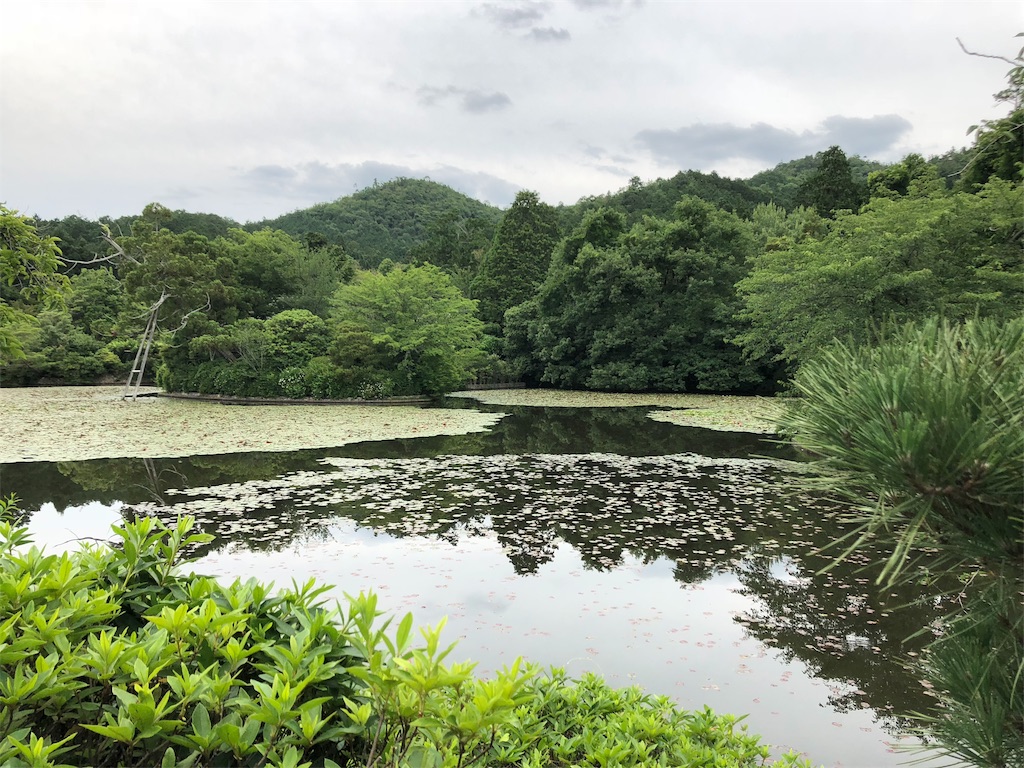 f:id:flemy:20180614213721j:image f:id:flemy:20180614213721j:image