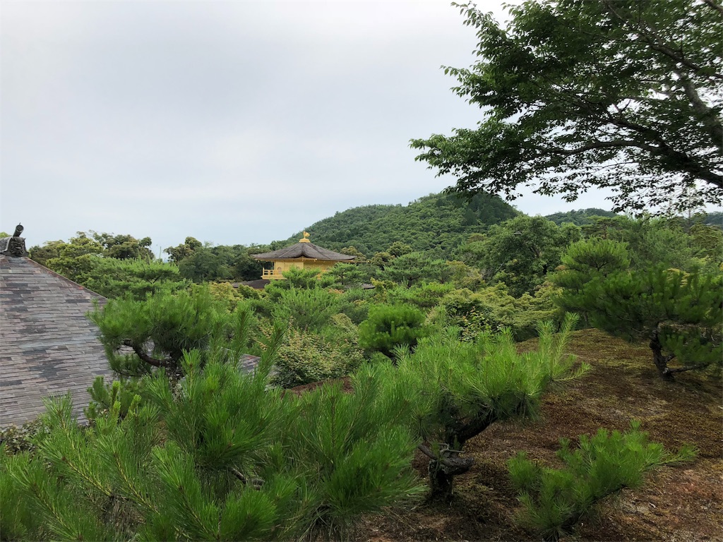 f:id:flemy:20180614214204j:image f:id:flemy:20180614214204j:image