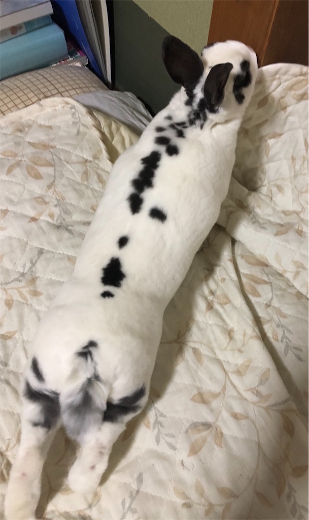 f:id:flemy:20180614214408j:image f:id:flemy:20180614214408j:image