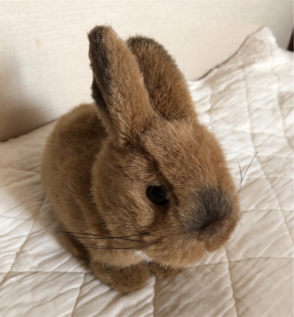 f:id:flemy:20180716072935j:image f:id:flemy:20180716072935j:image