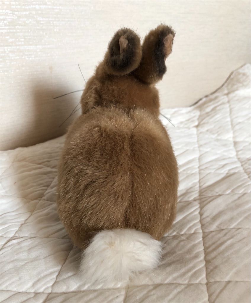 f:id:flemy:20180716072939j:image f:id:flemy:20180716072939j:image