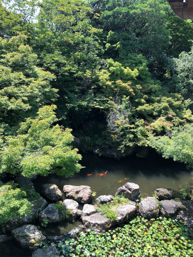 f:id:flemy:20180716073522j:image f:id:flemy:20180716073522j:image