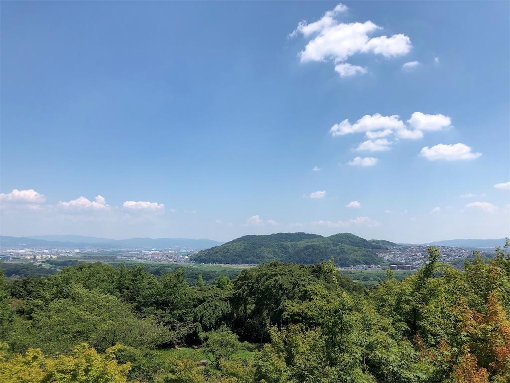 f:id:flemy:20180716073543j:image f:id:flemy:20180716073543j:image