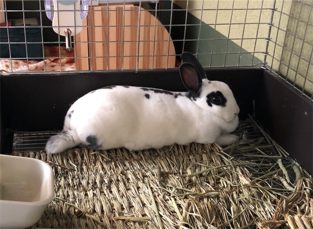 f:id:flemy:20180716083216j:image f:id:flemy:20180716083216j:image