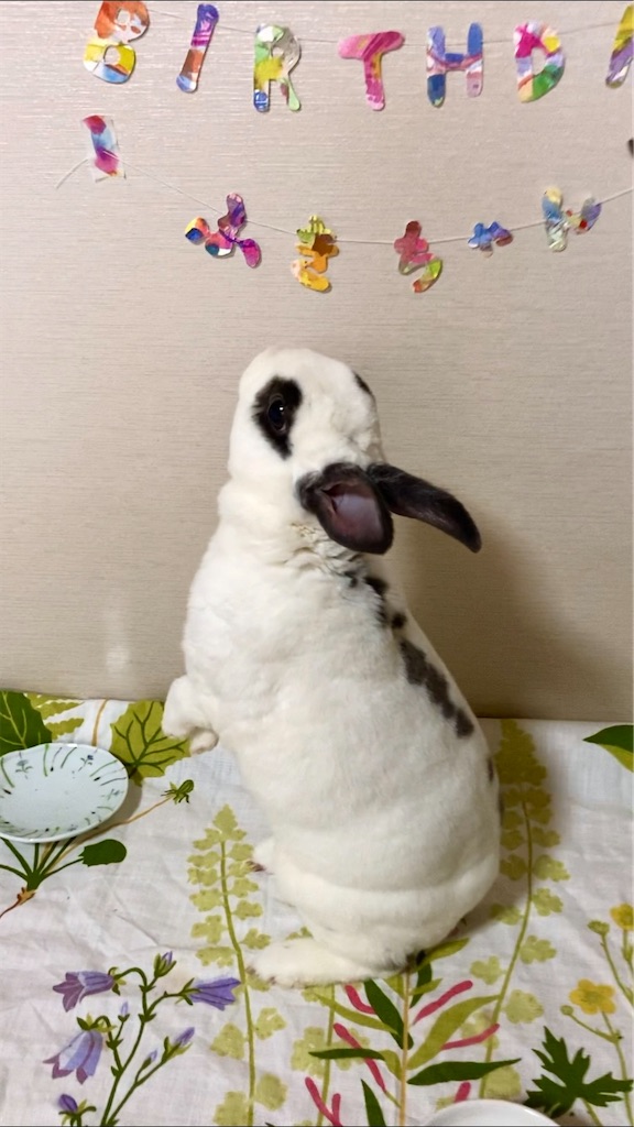 f:id:flemy:20220810023202j:image