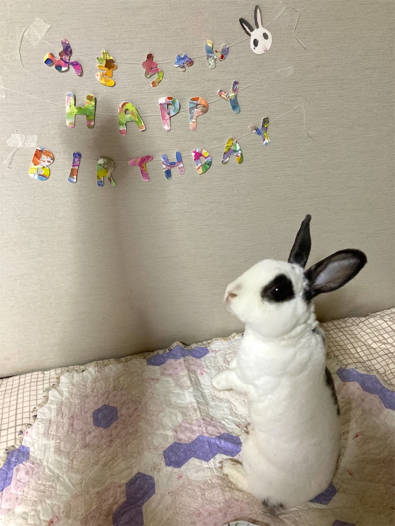 f:id:flemy:20230817233611j:image