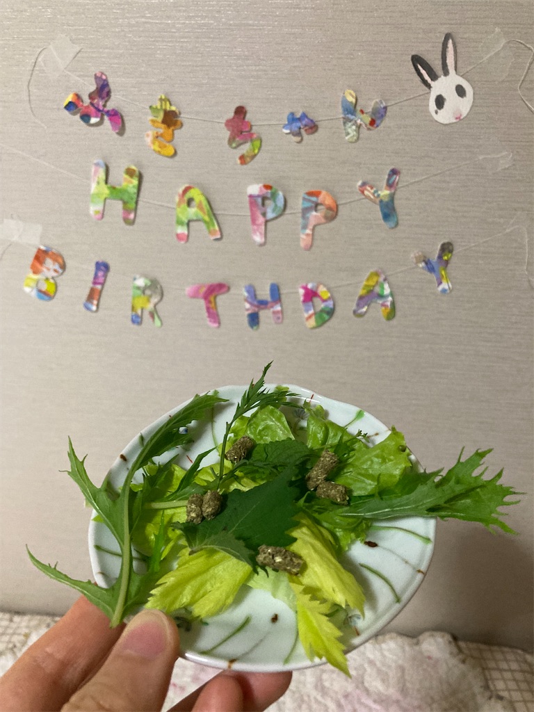 f:id:flemy:20230817233627j:image