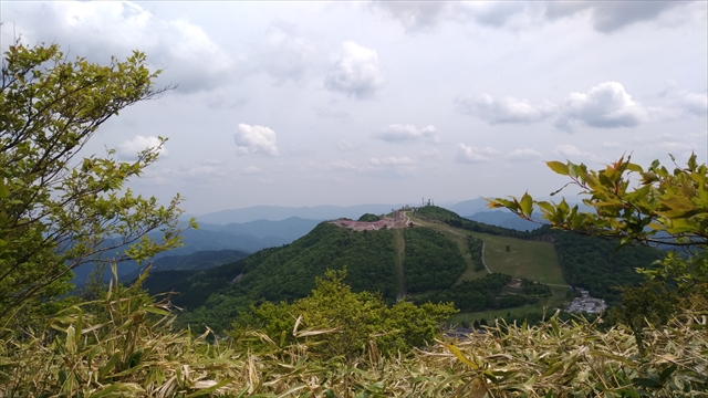 f:id:fleurdulapin:20210529185532j:plain