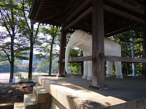 DSCN1609.jpg