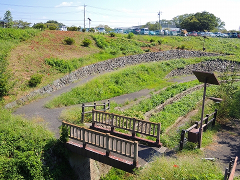 DSCN1614.jpg