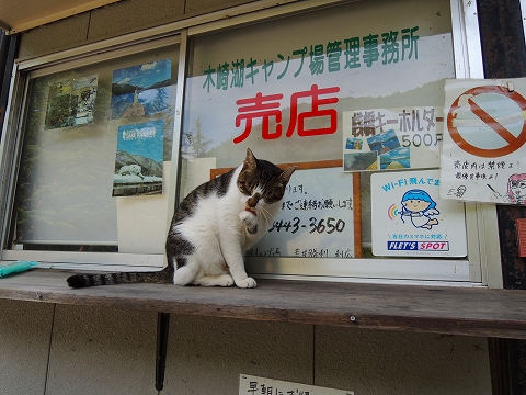 DSCN1650.jpg